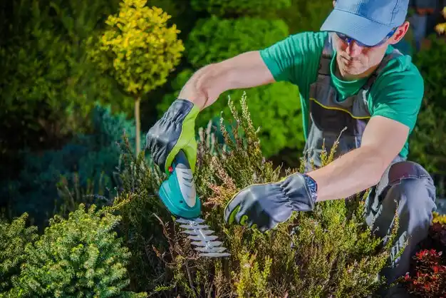 landscaping services Gibbon
